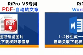 RiPro-V5-批量上传PDF转图片 Word附件自动化提取部分内容转为文章内容 二合一插件